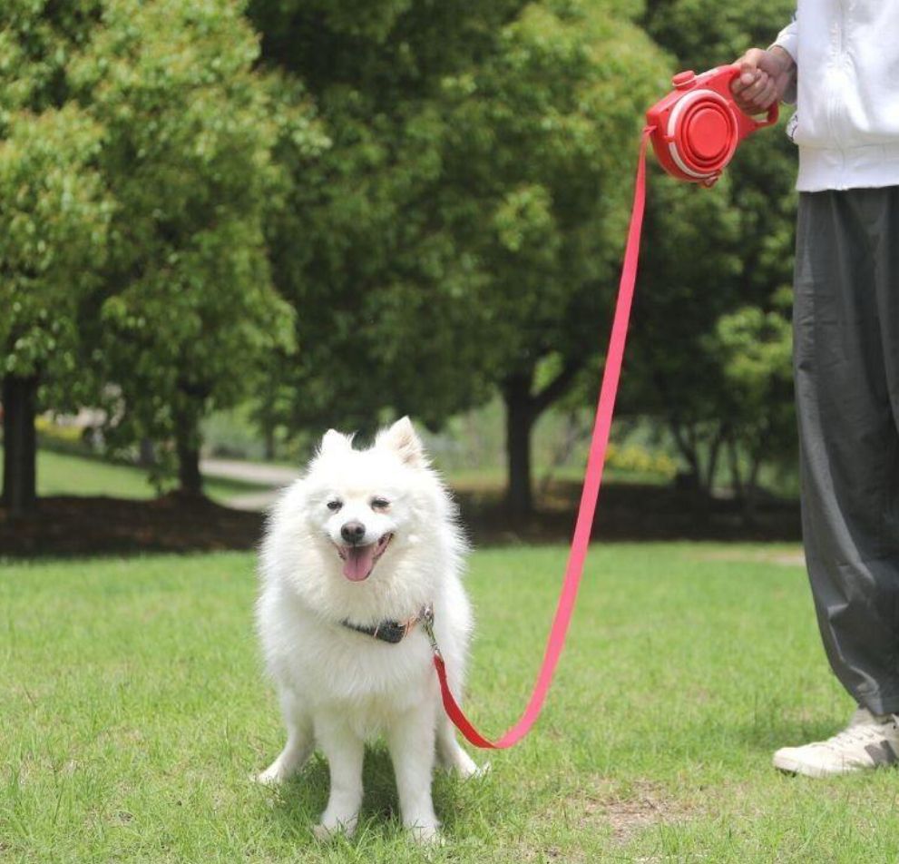 UltiLeash™ 4 in one dog leach